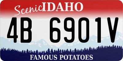 ID license plate 4B6901V