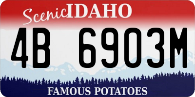 ID license plate 4B6903M