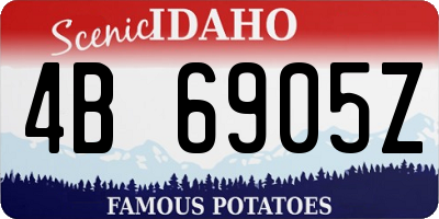 ID license plate 4B6905Z