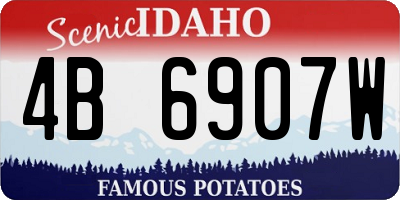 ID license plate 4B6907W