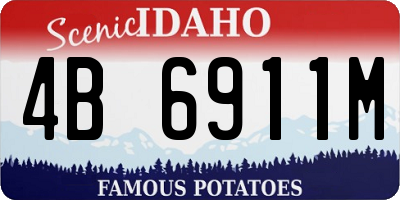 ID license plate 4B6911M