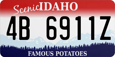 ID license plate 4B6911Z