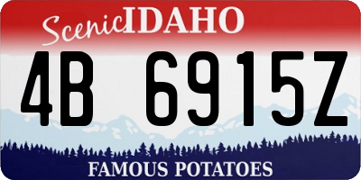 ID license plate 4B6915Z