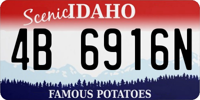 ID license plate 4B6916N