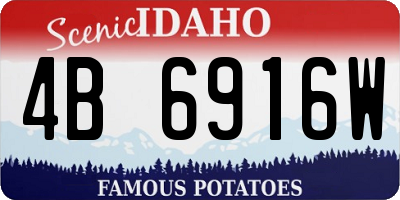 ID license plate 4B6916W