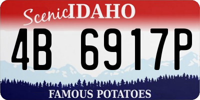 ID license plate 4B6917P