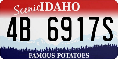 ID license plate 4B6917S