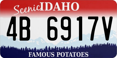 ID license plate 4B6917V