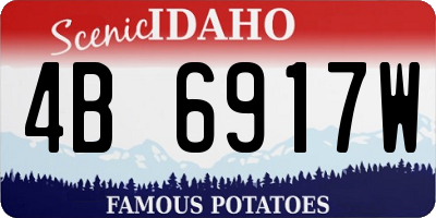 ID license plate 4B6917W