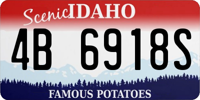 ID license plate 4B6918S
