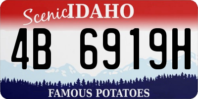 ID license plate 4B6919H