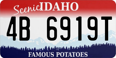 ID license plate 4B6919T