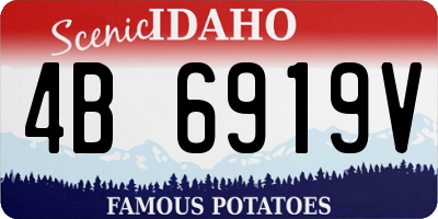 ID license plate 4B6919V