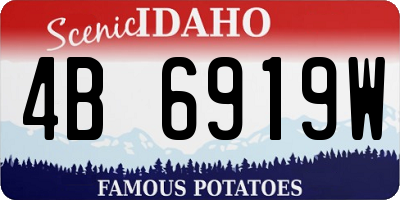 ID license plate 4B6919W