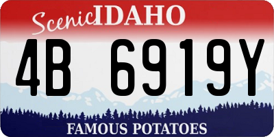 ID license plate 4B6919Y