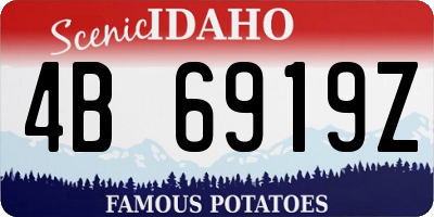 ID license plate 4B6919Z