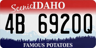 ID license plate 4B6920Q