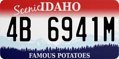 ID license plate 4B6941M
