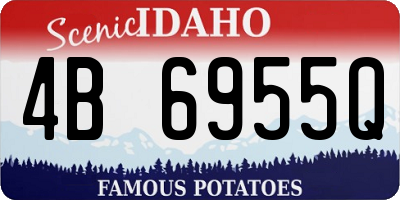 ID license plate 4B6955Q