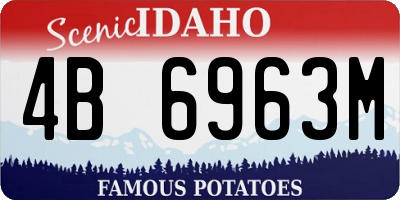 ID license plate 4B6963M