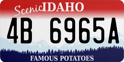 ID license plate 4B6965A