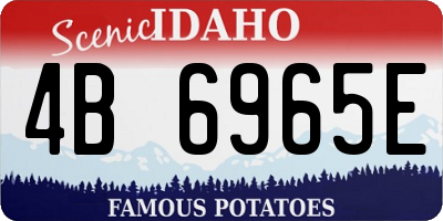 ID license plate 4B6965E