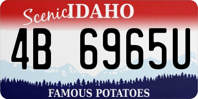 ID license plate 4B6965U