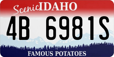 ID license plate 4B6981S