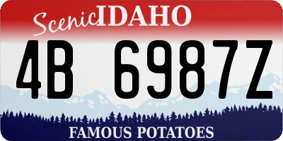 ID license plate 4B6987Z