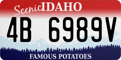 ID license plate 4B6989V