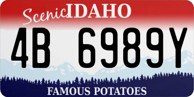 ID license plate 4B6989Y