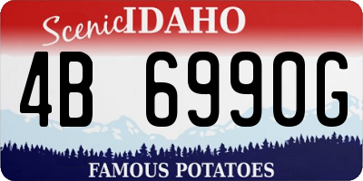 ID license plate 4B6990G