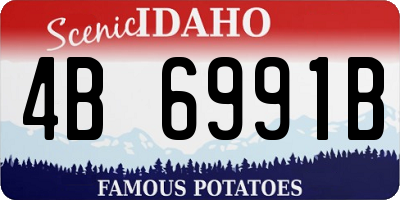 ID license plate 4B6991B