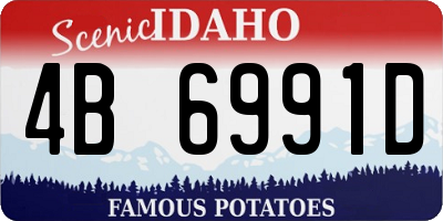 ID license plate 4B6991D