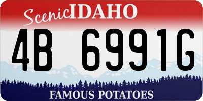 ID license plate 4B6991G