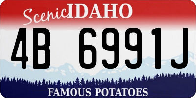 ID license plate 4B6991J