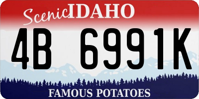 ID license plate 4B6991K