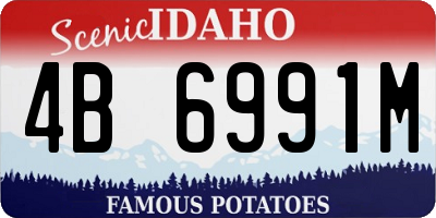 ID license plate 4B6991M