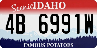 ID license plate 4B6991W