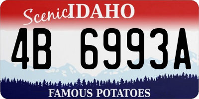 ID license plate 4B6993A