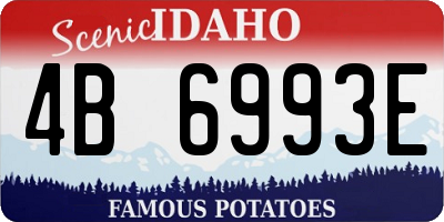 ID license plate 4B6993E