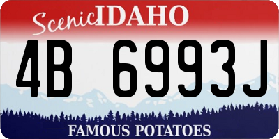 ID license plate 4B6993J