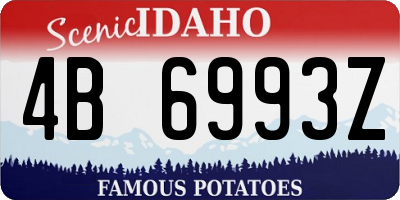 ID license plate 4B6993Z
