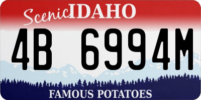 ID license plate 4B6994M