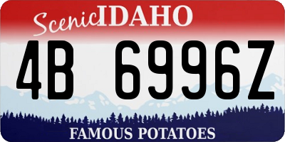 ID license plate 4B6996Z