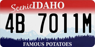 ID license plate 4B7011M