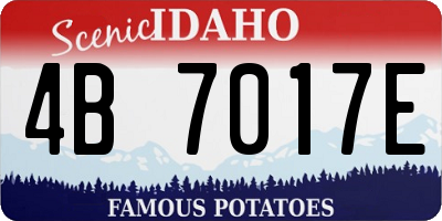 ID license plate 4B7017E