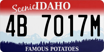 ID license plate 4B7017M