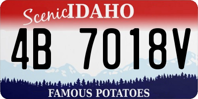 ID license plate 4B7018V