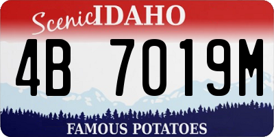 ID license plate 4B7019M